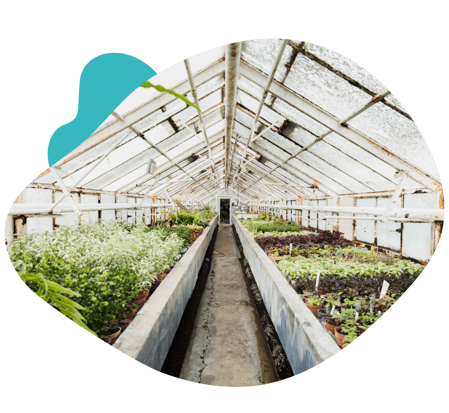 Smart indoor greenhouse