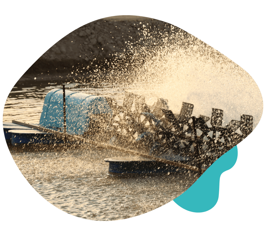 Smart shrimp feeder in land-based aquaculture
